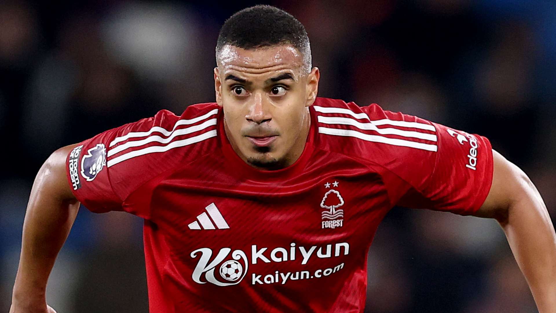 期待的新面 期待的新面