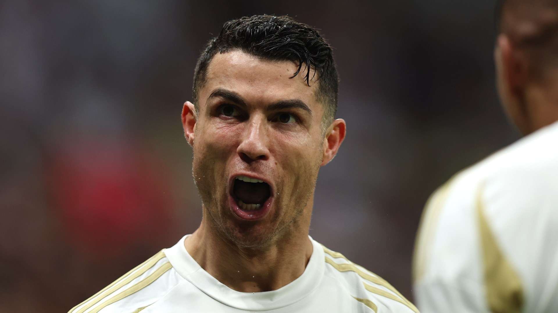 已经毋庸置 已经毋庸置