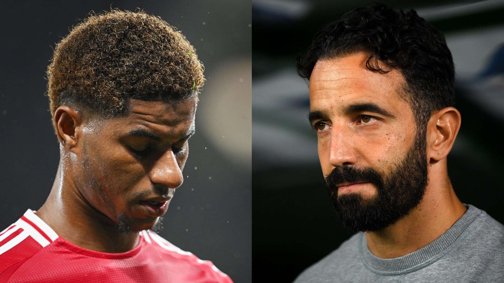 教练组也对 教练组也对