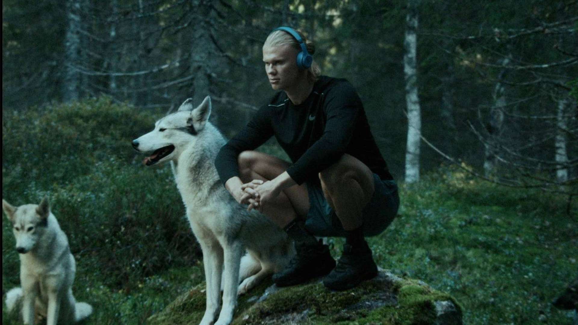 是他选择保 是他选择保